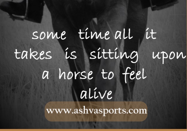 Horsey Quote - Feel Alive - Featured