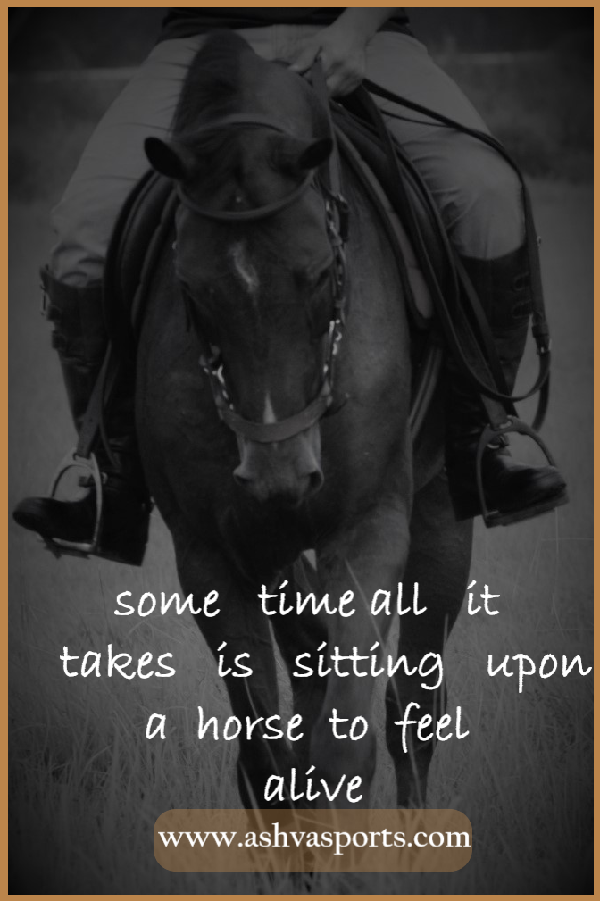 Horsey Quote - Feel Alive