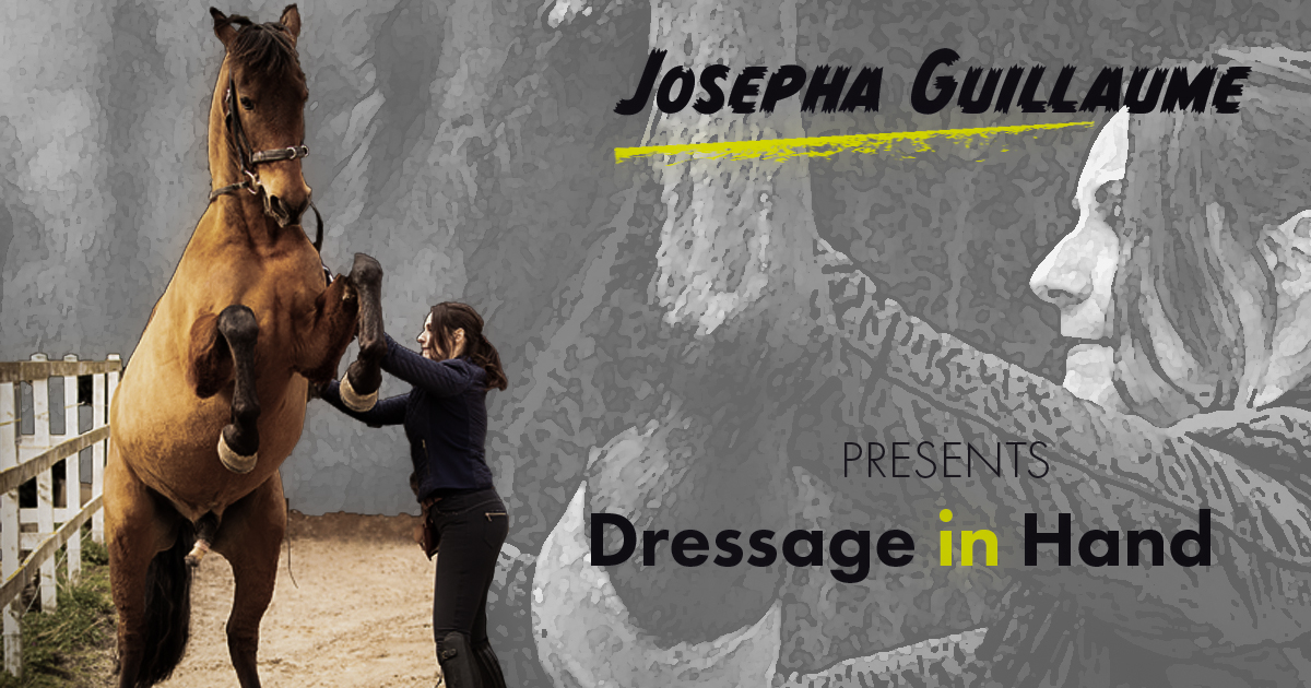 Josepha Guillaume - Dressage in Hand