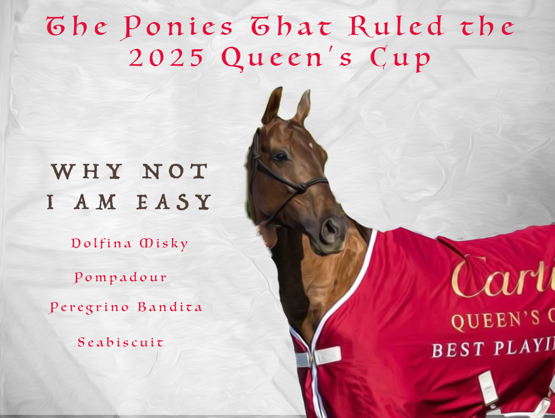 #QueensCup2025 #BestPlayingPony #PoloPonies #ParkPlacePolo #HilarioUlloa #PorotoCambiaso #Pompadour #DolfinaMisky #ColonelsAgroFarm #ColonelFaizTakeaway #Polo #Cambiaso